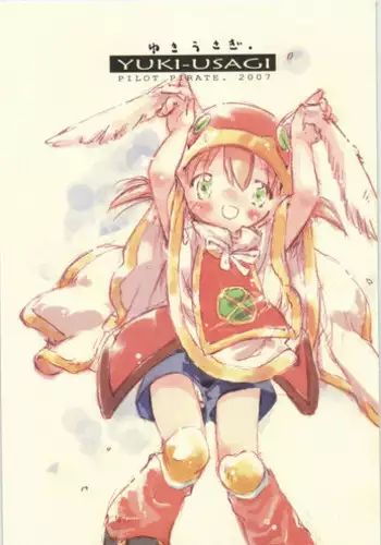 Kaizoku kyonyuu 【不可视汉化】