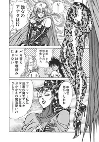 [Inui Haruka] Joousama Wars