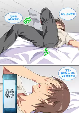 Musuko ni Nando mo Kudokarete Konmake Shita Haha