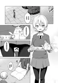 (COMIC1☆11) [Sekine (Sekine Hajime)] "Aan" tte Itteru desho (Girls und Panzer) [Chinese] [兴趣使然汉化团]