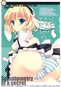 (C88) [PINK CHUCHU (Mikeou)] Naisho no Shintai Sokutei (Gochuumon wa Usagi desu ka?)