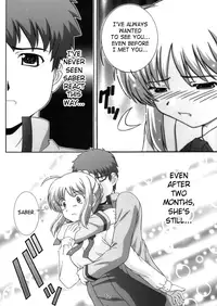 (C66) [Studio Wallaby (Takana Yu-ki)] Secret file next 10 I feel my Fate (Fate/stay night) [English] [SaHa]