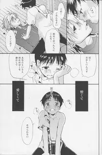 (C77) [RAYTREC (Fuyunagi Reku)] +PLUS (Neon Genesis Evangelion)