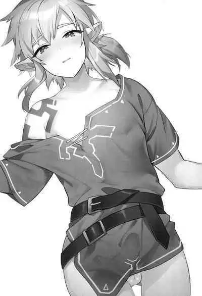 (C102) [Ash wing (Makuro)] Konran Yuusha | The Legend of Link: Skyward 