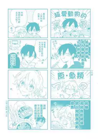 Shiokaze Mellow | 海风轻柔