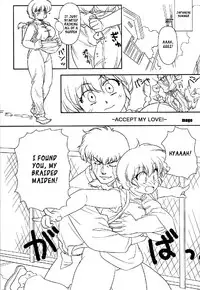 (C78) [Marin (Suzusato Rinka, mage)] Chippoke na Purezento (Ranma 1 2) [English] [_ragdoll]