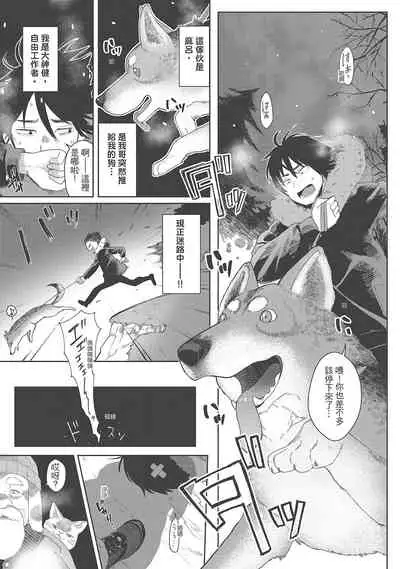 Koko de Shichao - Let's Make Love | 在這裡愛愛吧