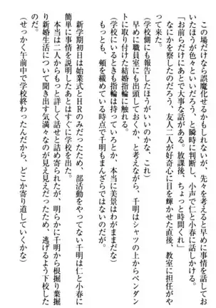 年上メイドの新婚日記