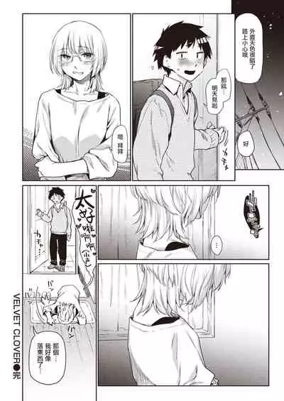 VELVET CLOVER | 天鹅绒三叶草