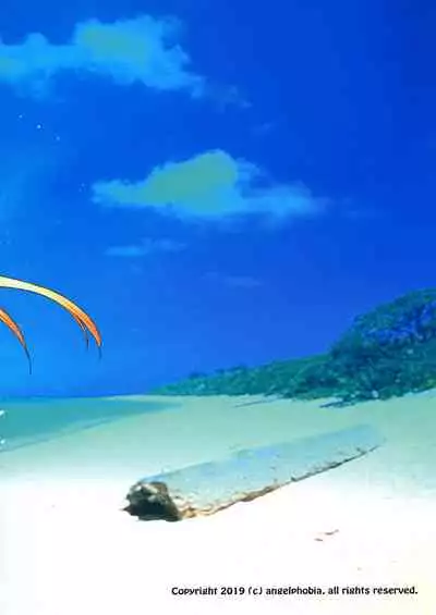 [angelphobia (Tomomimi Shimon)] Futari dake no Minami no Shima de Nero to Icha Pako 2 (Fate/Grand Order) [Chinese] [一只麻利的鸽子汉化] [Digital]