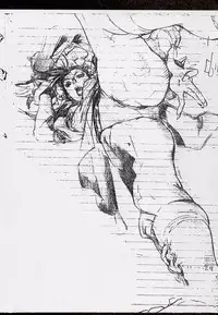 (C56) [Nobita Jimetsu System (Hattori Chihiro, Himikado Ryuuki)] Funsai Kossetsu 3 (Street Fighter)