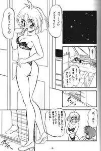 (C54) [Himawari Endan (Chunrouzan, Gakimagari, Kuribara Tento)] BTB-23 DOUBLE INCOME (Lost Universe)