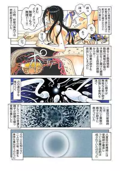 Henshin Hiroin Yoma Shisa Fu-shi Sha Hime