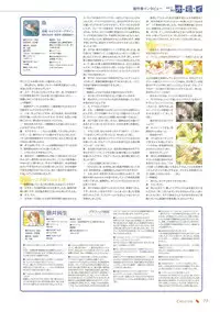 Canvas Sepia iro no Motif Visual Fanbook