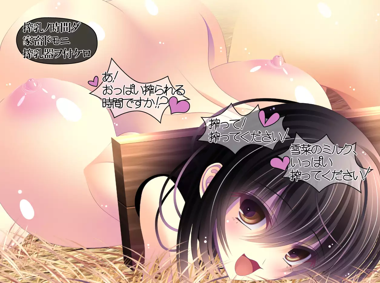 yabure, bakunyu chochichi naedoko ni, benki ni Daraku To sa reru hiroin!~ Hime ￮ setsuna ~