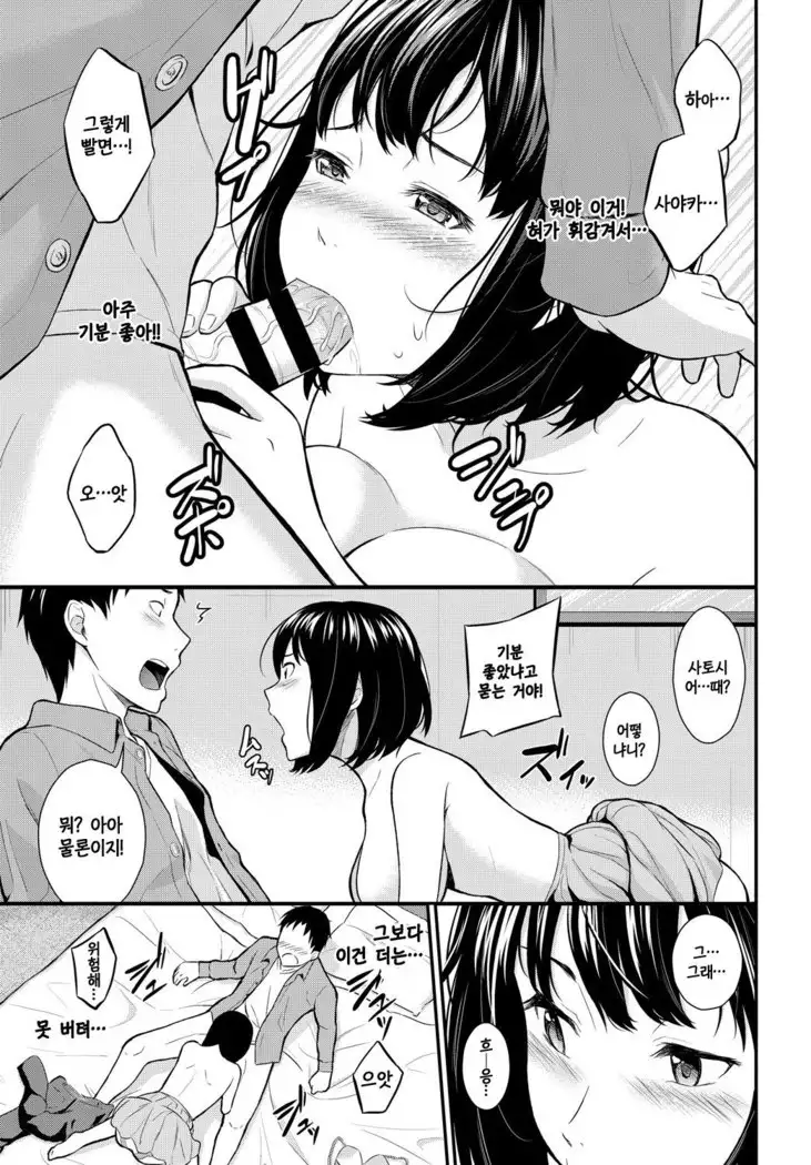 Hitotoki no Uso | 한때의 거짓말