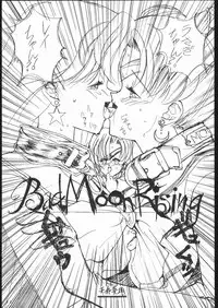 (C43) [MALEVOLENT KREATION, Takashimada Store (Kotobuki Tsukasa)] Geki Kuukan Excite Hon Series 3 - Sailor Moon Hon (Bishoujo Senshi Sailor Moon)