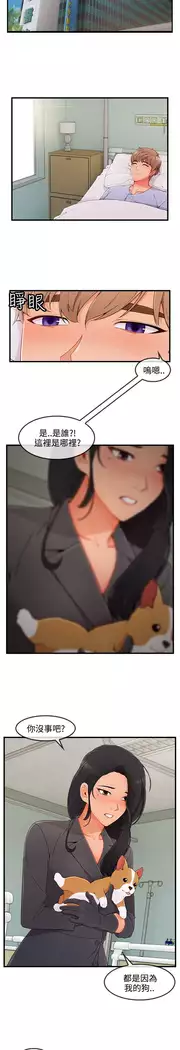 Lady Garden 淑女花苑 第三季