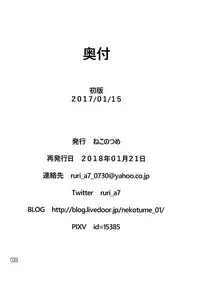 (CCFukuoka45) [Neko no Tusme [Akagawa Ruri)] Doko kara demo Ii yo. (Touhou Project)