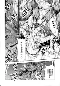 (C89) [Yokohama Junky (Makari Tohru)] Pair Hunter no Seitai vol.2-1 (Monster Hunter) [Chinese] [屏幕髒了漢化組&无毒汉化组]