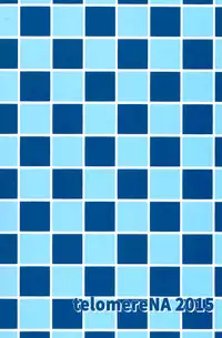 (C89) [telomereNA (Gustav)] Ecchi na Usagi wa Suki desu ka? (Granblue Fantasy) [Chinese] [脸肿汉化组]