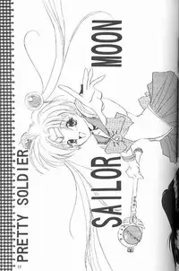 (C45) [Chou-Cream-Sunday (Minakami Hiroki)] C'est La Moon (Bishoujo Senshi Sailor Moon)