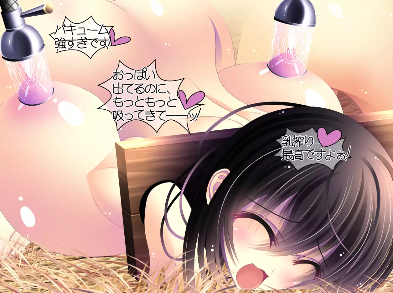 yabure, bakunyu chochichi naedoko ni, benki ni Daraku To sa reru hiroin!~ Hime ￮ setsuna ~