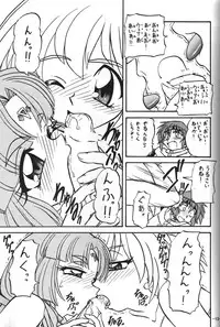 (C54) [Himawari Endan (Chunrouzan, Gakimagari, Kuribara Tento)] BTB-23 DOUBLE INCOME (Lost Universe)