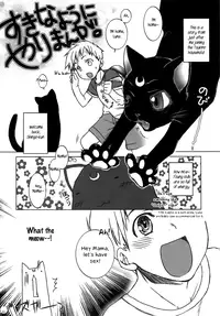 (C72) [L.L.MILK (Sumeragi Kohaku)] Mugen Rasen (Bishoujo Senshi Sailor Moon) [English] {rookie84}