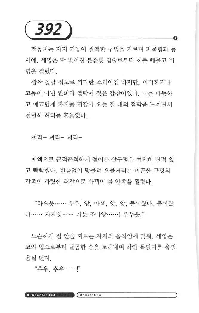 최면게임 - 타락하는 공주기사