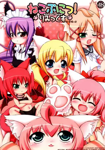 (C90) [Cat Expert (Nekousa)] Neko Puni! vol.12 [Chinese] [一匙咖啡豆汉化组]