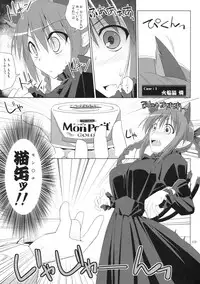 (C76) [TOYBOX, Kujira Logic (Kurikara, Kujiran)] Gensokyo Chichi Zukan - Soushuu-hen (Touhou Project)