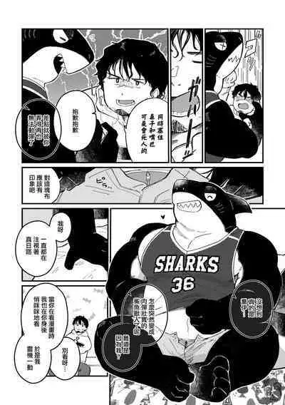 Zipper Shark Joey | 拉鍊鯊魚喬伊