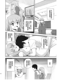 (C82) [G-SCAN CORP (Satou Chagashi)] Le beau maitre 10 (Zero no Tsukaima) [Chinese] [最愛路易絲澪漢化組]