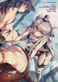 (C87) [Chesha Neko no Yakata, Shokuan (Wazakita, Shokushu-san)] Nano desu! Yon (Kantai Collection -KanColle-) [Chinese] [CE家族社]