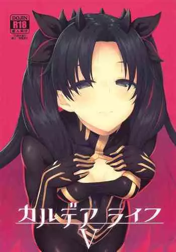 (C95) [Hirojuu Renshuuchou (Hiroya)] Chaldea Life II (Fate/Grand Order) [Chinese] [無邪気漢化組]