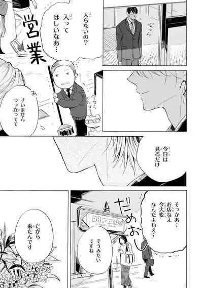 Ginmokusei no Shitateya