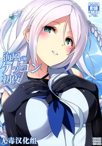 (C90) [L5EX (Kamelie)] Mizuho no Kekkon Shoya (Kantai Collection -KanColle-) [Chinese] [脸肿汉化组]