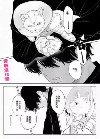 bake neko to mibōjin|猫与未亡人