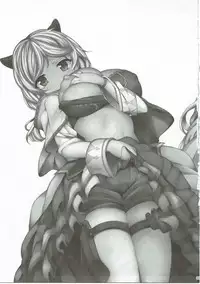 (C90) [Danikuya-san (Shiroie Mika)] Dorei Shuzoku no Shoujo wa Haramu shika Nai. (Granblue Fantasy)