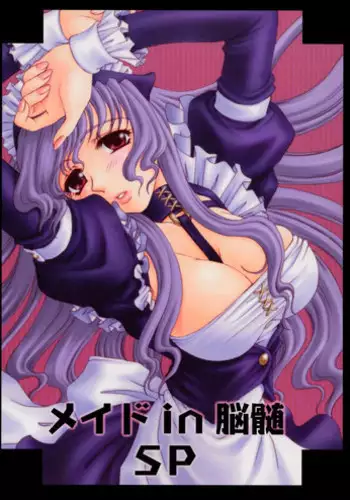 [NO-ZUI (Kanesada Keishi)] Maid in Nouzui SP