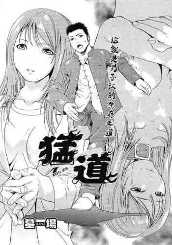 猛道(COMIC パピポ 2005年10月号)