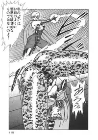 [Inui Haruka] Joousama Wars