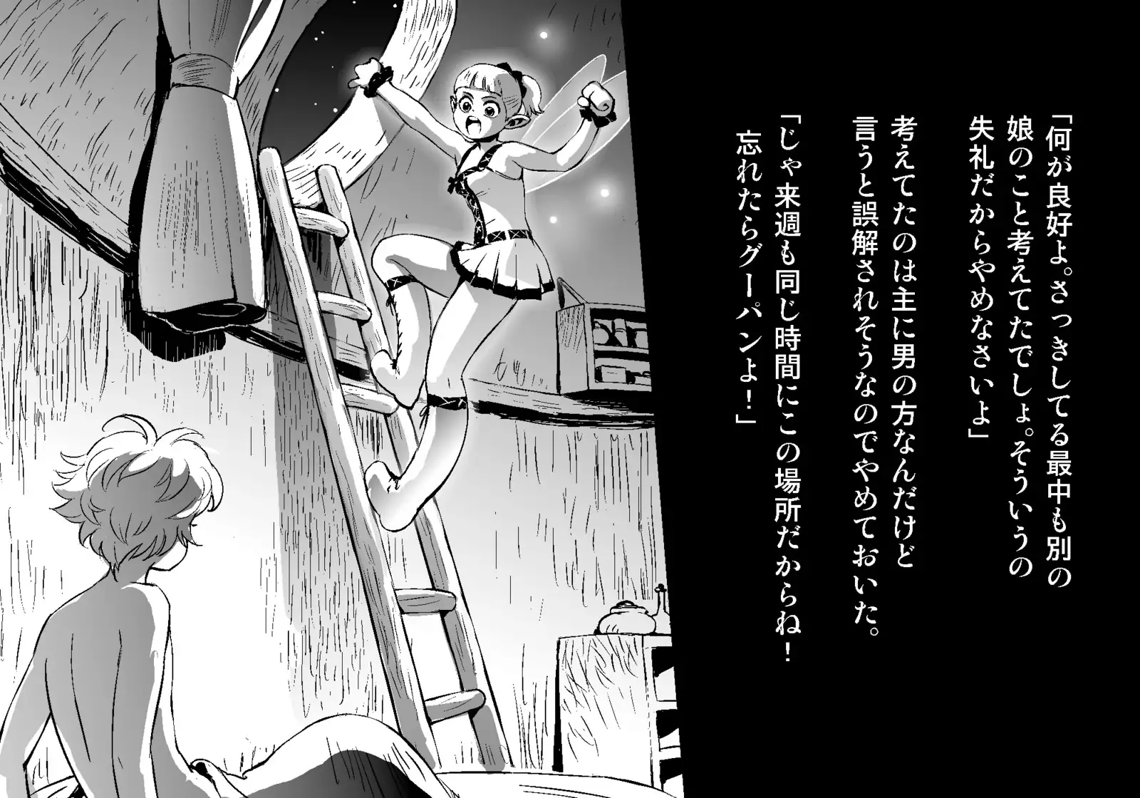 フェアリーセティ