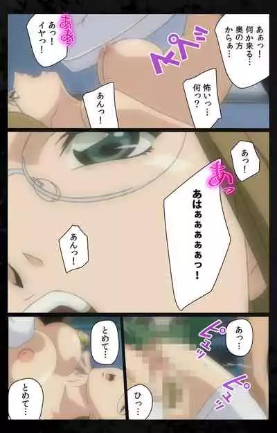 DARK SHELL ori no naka no tsuya kanzenhan