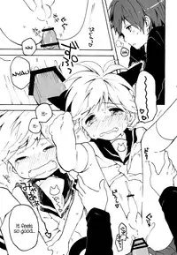 (Reitaisai 8) [hey you! (Non)] Nuko Len-kyun to Nuko Nuko suru Hon. | Kitty Kitty Bang Bang with Catboy Len (Vocaloid) [English] =SW=