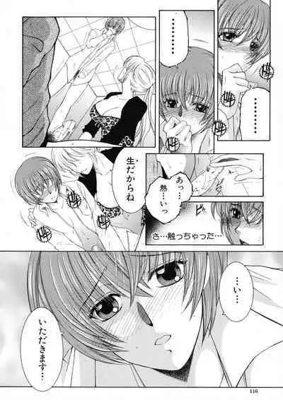 [Yasuhara Tsukasa] Ore ga 4-nin no Oneesan ni Share-sareru Koto ni Natta Ken