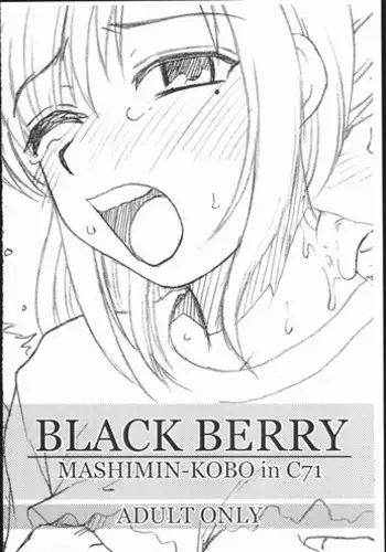 (C71) [Mashimin Koubou (Mashi Miyuki)] BLACK BERRY (Oshare Majo: Love and Berry)