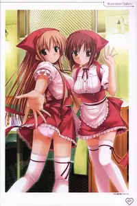 Shakkin Shimai&Shakkin Shimai2 visual fanbook