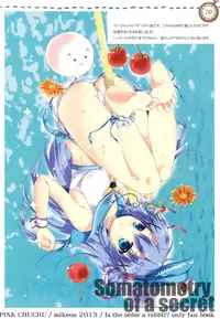 (C88) [PINK CHUCHU (Mikeou)] Naisho no Shintai Sokutei (Gochuumon wa Usagi desu ka?)